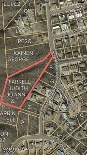 Tbd Avenida Papalote, Rio Rico, AZ 85648