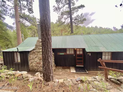 12024 Lower Soldiers Camp Pl, Mount Lemmon, AZ 85619