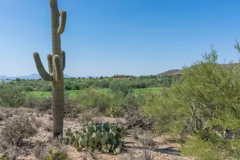 14451 N Sunset Gallery Dr #8, Marana, AZ 85658