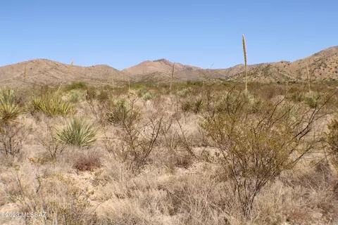 e diamondback road LOT 212, Saint David, AZ 85630 photo 7