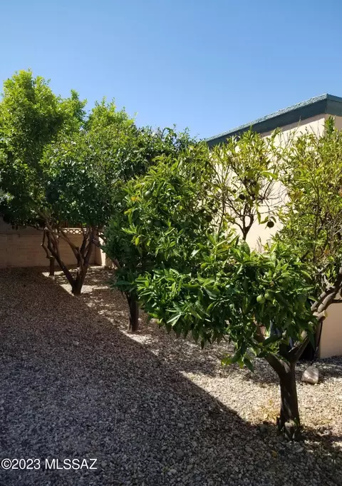 6790 E 3rd St, Tucson, AZ 85710 photo 47
