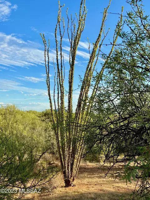 15783 W Phillips Rd, Tucson, AZ 85736 photo 8