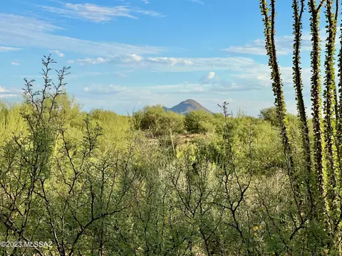 15783 W Phillips Rd, Tucson, AZ 85736 photo 10