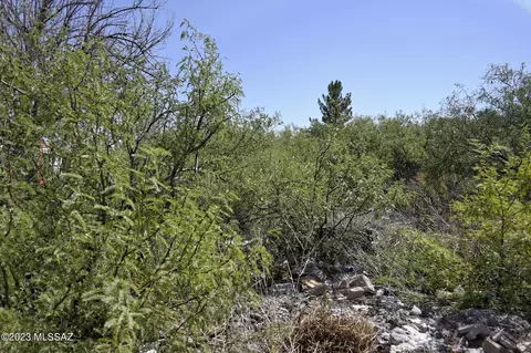 tbd N Gladiola Ave, Douglas, AZ 85607