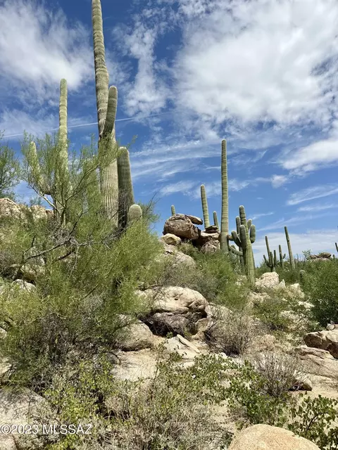 15004 N Slippery Ridge Loop N, Oro Valley, AZ 85755