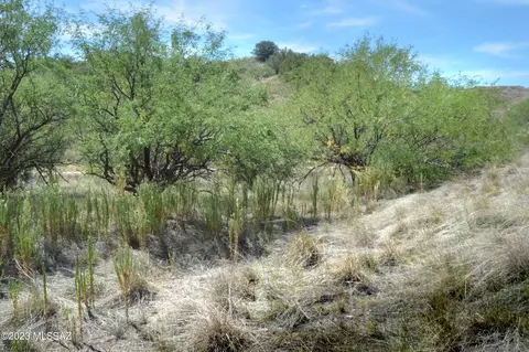 190 Tanglehead Ln, Patagonia, AZ 85624