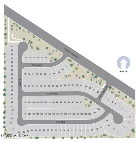 View/Area - 12560 E Caden Dr, Vail, AZ 85641 photo 1 of 1