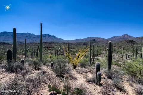 6675 W Wasson Vista Dr, Tucson, AZ 85745