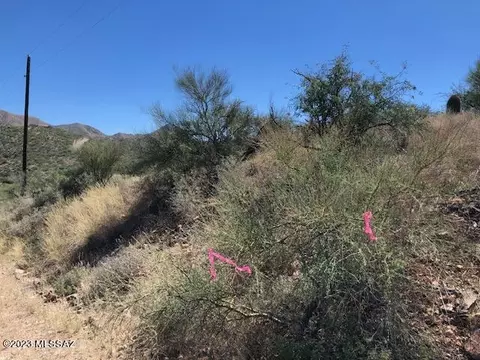 1539 Cocer Ct, Rio Rico, AZ 85648