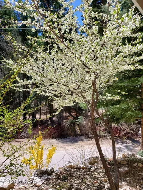 11021 E Turkey Run Rd, Mount Lemmon, AZ 85619 photo 16