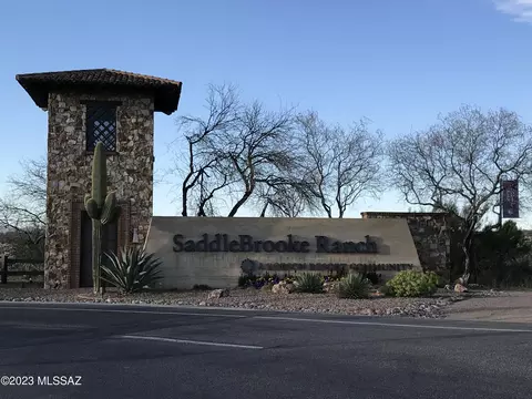 60156 E Blue Palm Dr, Oracle, AZ 85623