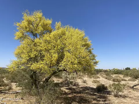 11 E Acres E Cactus Forest Rd #C, Florence, AZ 85132 photo 14