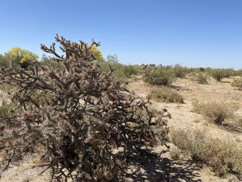 11 E Acres E Cactus Forest Rd #C, Florence, AZ 85132 photo 15
