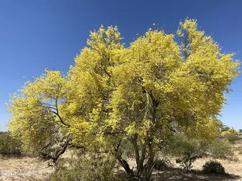 11 E Acres E Cactus Forest Rd #C, Florence, AZ 85132 photo 5