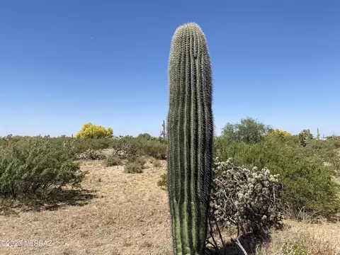 11 E Acres E Cactus Forest Rd #C, Florence, AZ 85132 photo 7