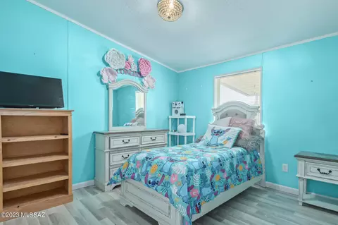 13622 E Blue Cactus Ln, Vail, AZ 85641 photo 21