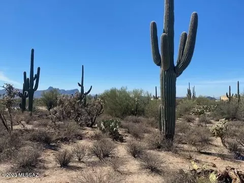 5651 W Desert Falcon Ln, Tucson, AZ 85742