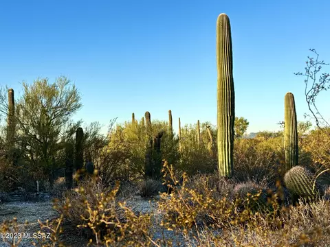 521 E Placita Cerro Amistoso #382, Tucson, AZ 85704