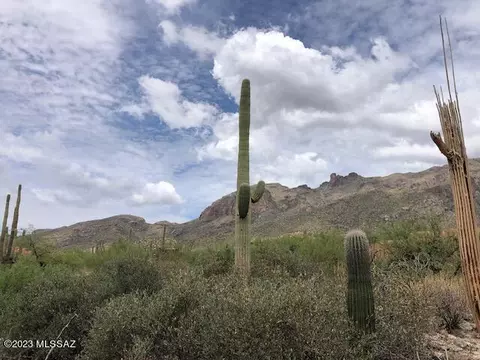7028 N Mercer Spring Pl, Tucson, AZ 85718