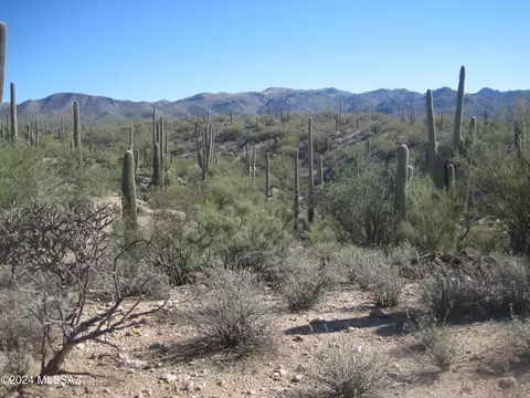 Nn Derrio & Muledeer, Marana, AZ 85658