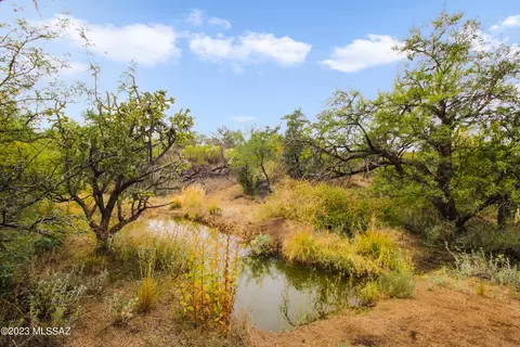 105 Bachman Wash Rd, Oracle, AZ 85623