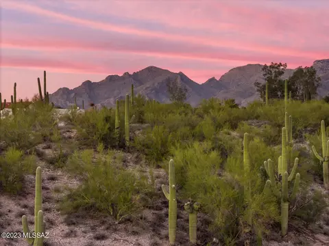4851 N Campbell Ave, Tucson, AZ 85718