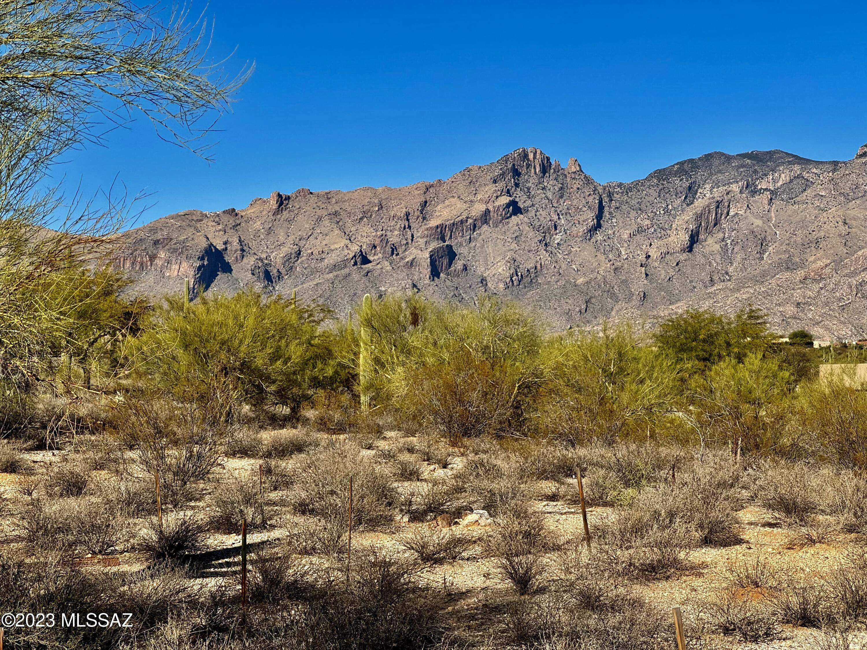 4300 N PLACITA DEL RODAL  