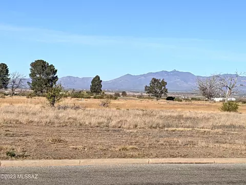 1024 E Geneva St, Pearce, AZ 85625 photo 43