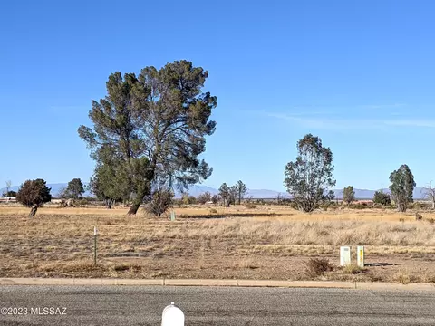 1024 E Geneva St, Pearce, AZ 85625 photo 42