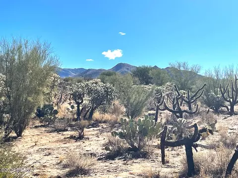 13411 S Sierrita Mountain Rd, Tucson, AZ 85736