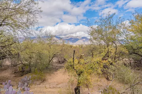 5411 E Francisco Loop, Tucson, AZ 85712 photo 42