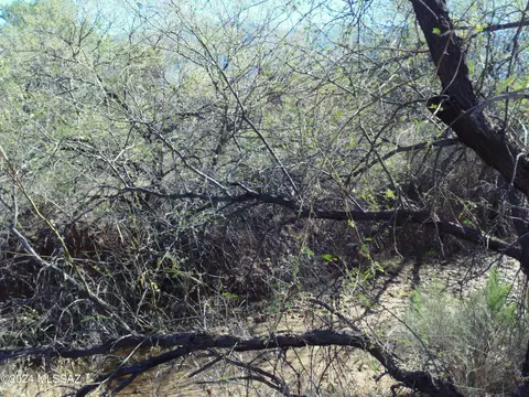 4180 Edwin Rd, Tucson, AZ 85739 photo 30