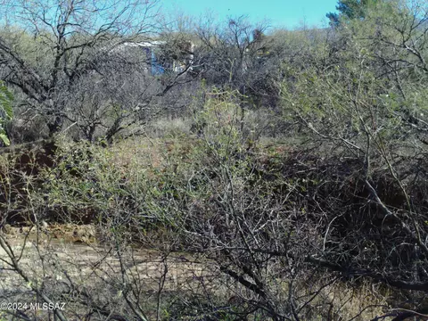 4180 Edwin Rd, Tucson, AZ 85739 photo 31