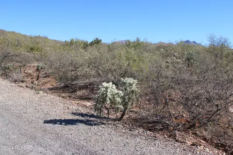 59 Camino Olympia, Rio Rico, AZ 85648