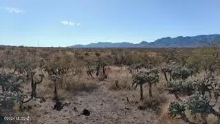 1841 Calle Caracol, Rio Rico, AZ 85648