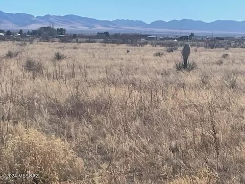 tbd S Dos Cabezas Rd, Pearce, AZ 85625