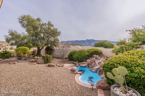 64631 E Drifter Dr, Saddlebrooke, AZ 85739 photo 41