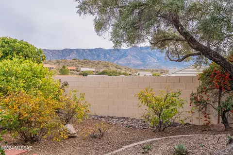 64631 E Drifter Dr, Saddlebrooke, AZ 85739 photo 44