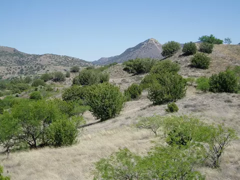 806 Side Oats Ln, Patagonia, AZ 85624