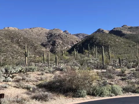 10632 N Gibbon Canyon Pl, Tucson, AZ 85749