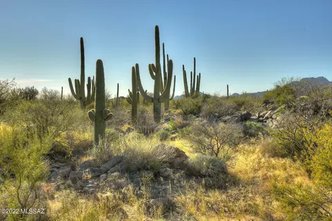 14451 N Giant Saguaro Pl, Oro Valley, AZ 85755