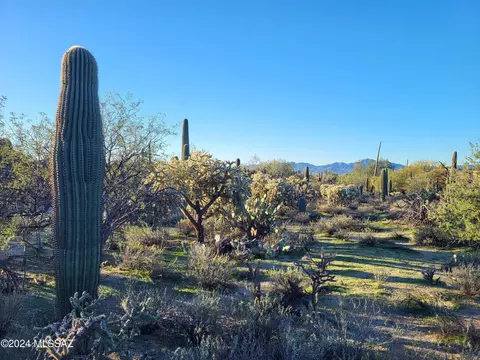 5024 W Camino De Manana, Tucson, AZ 85742