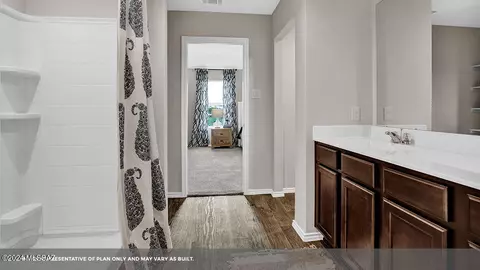 Bath - 14072 E Crotalus Way, Vail, AZ 85641 photo 3 of 7