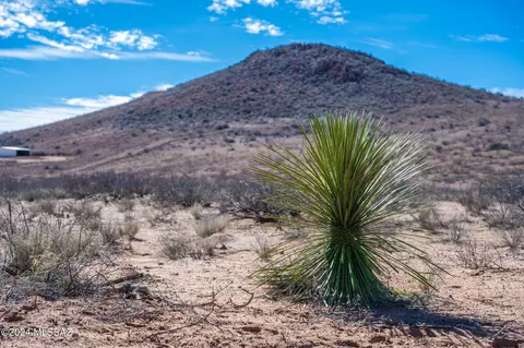 10 E Acres E Red Stag Rd, Pearce, AZ 85625