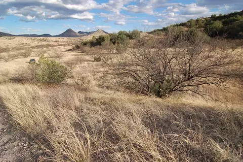 lot D Stevens Canyon Rd, Patagonia, AZ 85624
