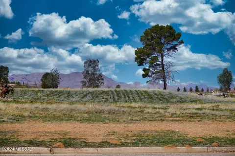 1108 E Geneva St, Pearce, AZ 85625 photo 28