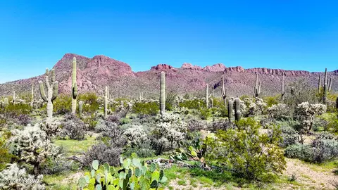 0 N Tula Ln Lot #LOT 2, Tucson, AZ 85743