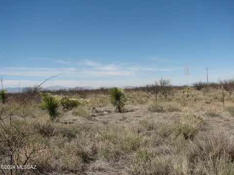 20 Ac Bumble Bee Ln #0, Pearce, AZ 85625 photo 2