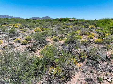 14805 E Circle M Ranch Pl, Vail, AZ 85641 photo 7