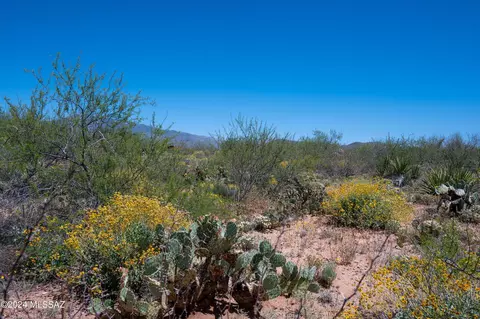 14805 E Circle M Ranch Pl, Vail, AZ 85641 photo 4